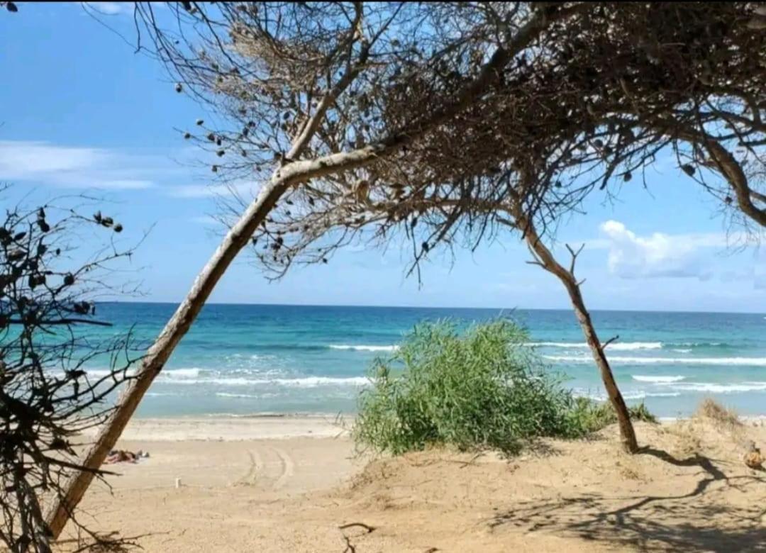Sea Front, Allegria, Santa Maria Al Bagno Nardò Zewnętrze zdjęcie
